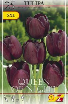 Тюльпан Куин оф Найт (Queen of Night), 25 шт - картинка 5